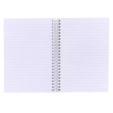 Spirálfüzet, A5, vonalas, 100 lap, PUKKA PAD "Haze Jotta", vegyes szín