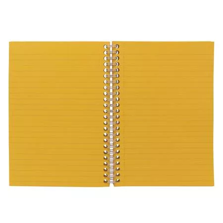 Spirálfüzet, A5, vonalas, 100 lap, PUKKA PAD "Irlen Jotta Gold"