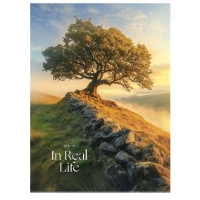   Füzet, tűzött, A4, vonalas, 40 lap, SHKOLYARYK "In Real Life", vegyes