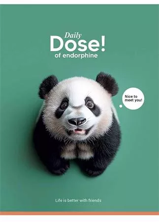 Füzet, tűzött, A5, kockás, 48 lap, SHKOLYARYK "Nice to meet you", vegyes