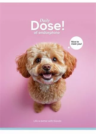 Füzet, tűzött, A5, kockás, 48 lap, SHKOLYARYK "Nice to meet you", vegyes