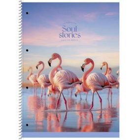   Spirálfüzet, A4+, vonalas, 80 lap, SHKOLYARYK "Soul Stories", vegyes