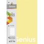 Spirálfüzet, A4, vonalas, 80 lap, PP borító, SHKOLYARYK "Genius Pastel", vegyes