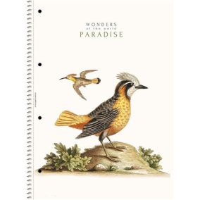   Spirálfüzet, A4, vonalas, 80 lap, SHOLYARYK "College Block Wonders", vegyes