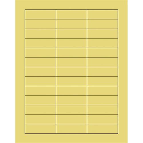 Reuma kezelőlap 118x150 mm