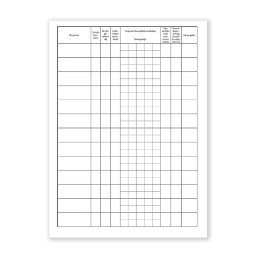 Fogorvosi ambuláns napló 250 lapos könyv A/4 álló