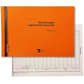 Munkacsapat összesítő 25x3 lapos tömb A/4 fekvő Munkacsapat összesítő 25x3 lapos tömb A/4 fekvő