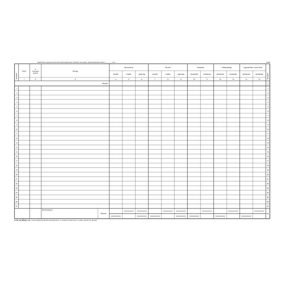   Naplófőkönyv a számviteli törvény szerinti egyes egyéb szervezetek részére