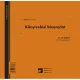Könyvelési bizonylat két értékkel 50x2 lapos tömb 16 soros 203x198 mm