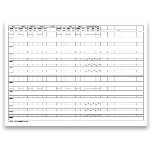 Csecsemő és kisgyermek nyilvántartó 60 lapos könyv A/3 fekvő