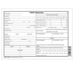 Terhes törzslap 6 lapos füzet A/5 fekvő