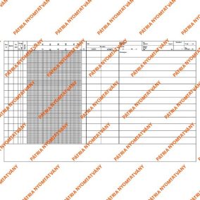 Gyermek lázlap A/3 fekvő