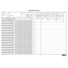 Csecsemő lázlap A/3 fekvő