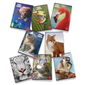 Füzet Pigna Animal A/5 tűzött 42 lapos kockás Füzet Pigna Animal A/5 tűzött 42 lapos kockás