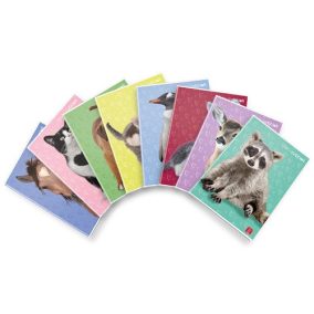 Füzet Pigna Dolci Cuccioli A/4 tűzött 42 lapos kockás Füzet Pigna Dolci Cuccioli A/4 tűzött 42 lapos kockás
