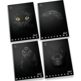 Füzet Pigna Monocromo Black A/4 38 lapos vonalas Füzet Pigna Monocromo Black A/4 38 lapos vonalas
