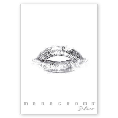 Füzet Pigna Monocromo Silver A/4 tűzött 38 lapos vonalas