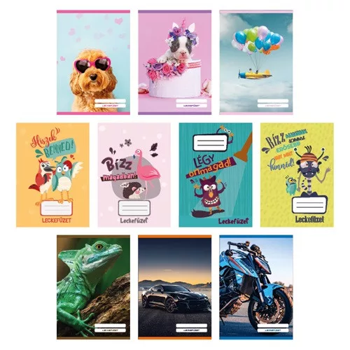 Leckefüzet pd kisalakú 40 lapos