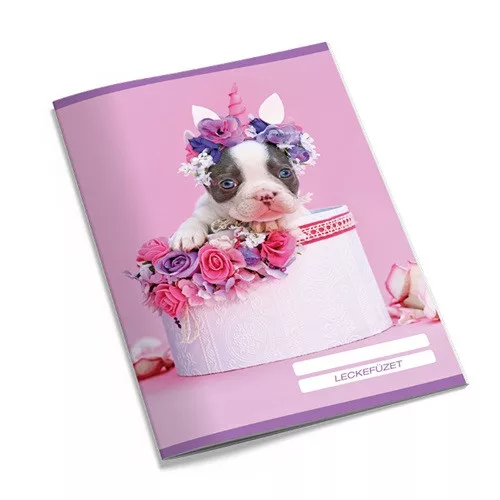 Leckefüzet pd kisalakú 40 lapos