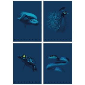 Füzet Pigna Monocromo Blue A/4 tűzött 38 lapos kockás Füzet Pigna Monocromo Blue A/4 tűzött 38 lapos kockás