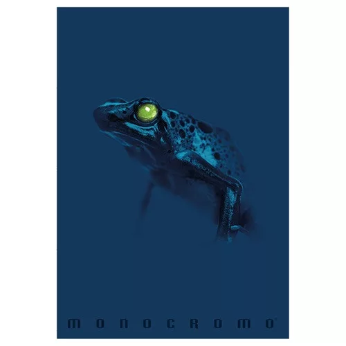 Füzet Pigna Monocromo Blue A/4 tűzött 38 lapos kockás