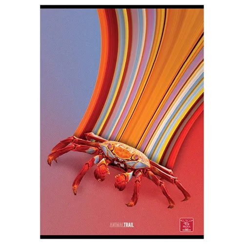 Füzet Pigna Animal Trail A/4 tűzött 50 lapos kockás