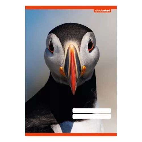 Füzet pd kisalakú 14-32 vonalas School United