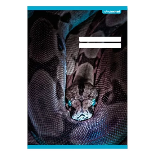 Füzet pd kisalakú 16-32 vonalas School United