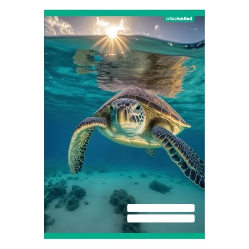 Füzet pd kisalakú 27-32 kockás School United