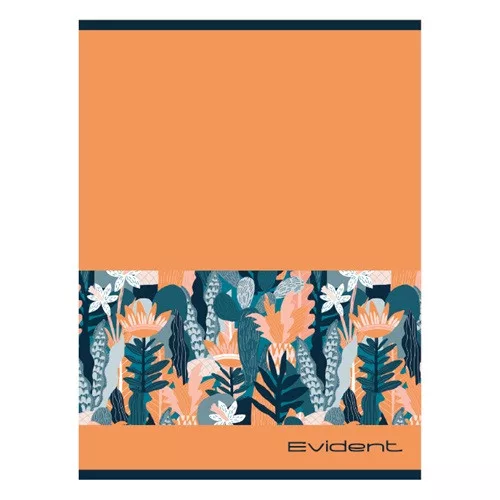 Füzet pd nagyalakú kockás Evident