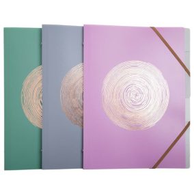   Előrendező Exacompta Ellipse A/4 8 részes gumis vegyes minták