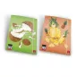 Gumis mappa karton Pigna Fruits A/4 .