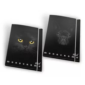 Gumis mappa Pigna Monocromo Black A/4
