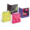 Gyűrűs könyv Pigna Fruits A/4 4 gyűrűs 40 mm  gerinccel